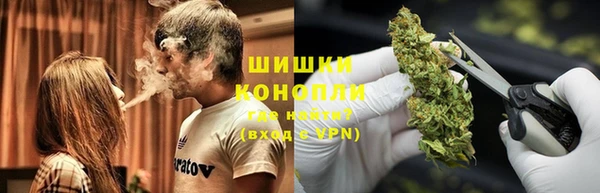эйфоретик Аркадак