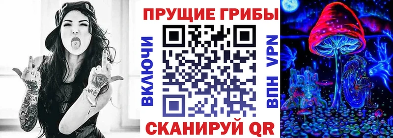 Псилоцибиновые грибы Psilocybine cubensis  Салехард 